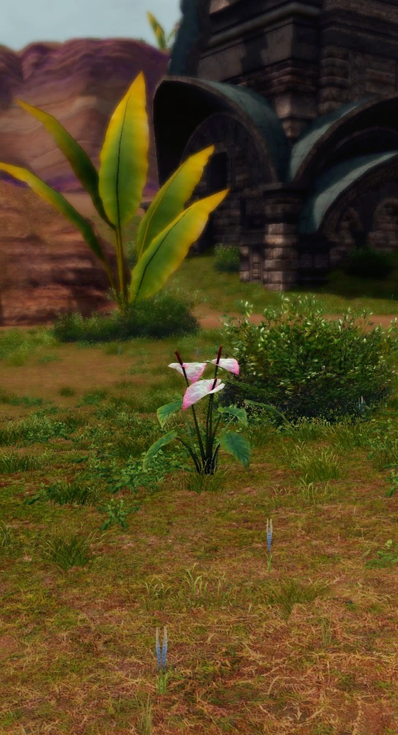 衆園の森